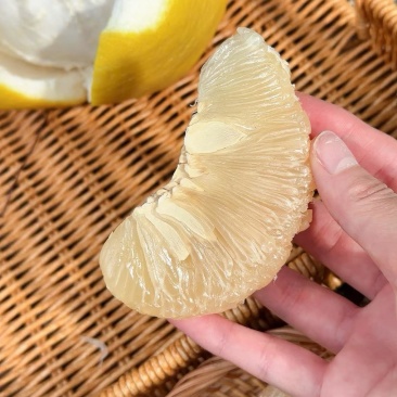 年货高山老树沙田柚批发