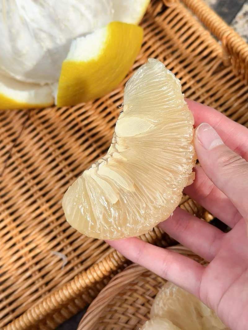年货高山老树沙田柚批发