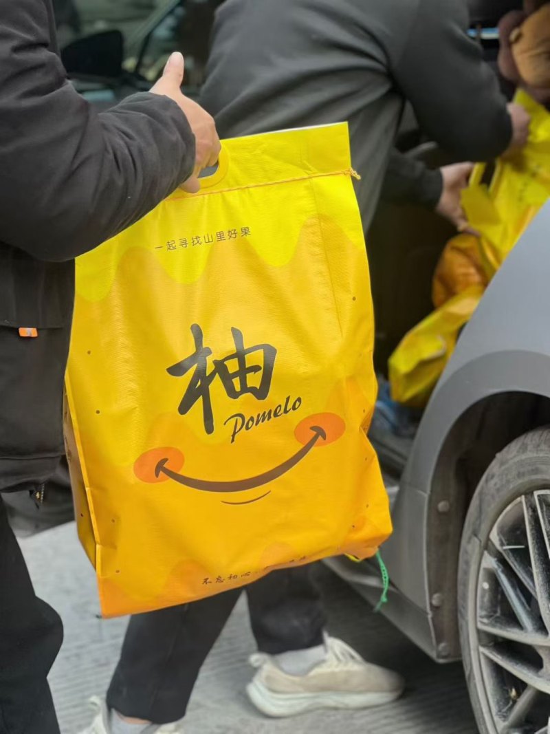 年货高山老树沙田柚批发