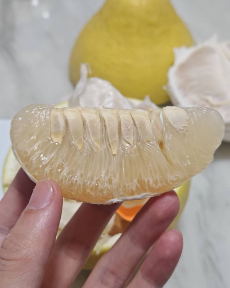 年货高山老树沙田柚批发