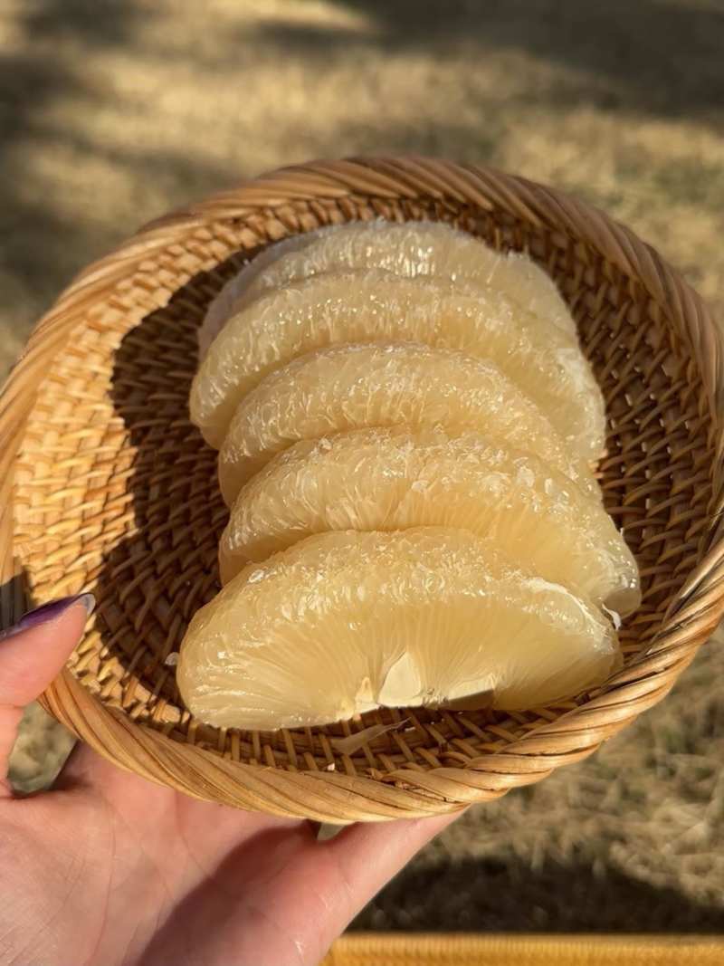 年货高山老树沙田柚批发