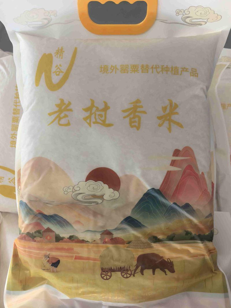 老挝香米