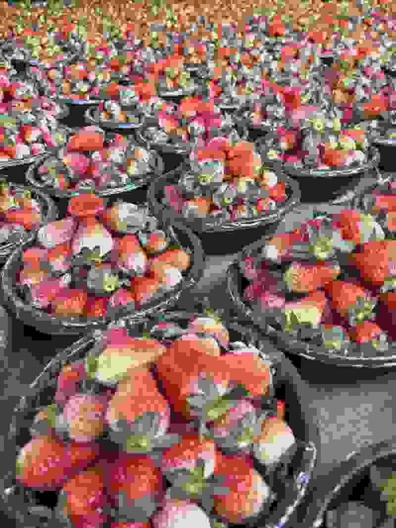 大凉山草莓