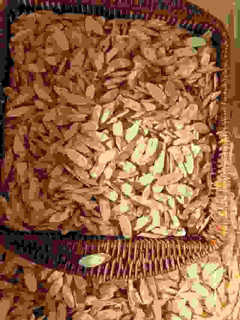 精选黄芪片量大从优