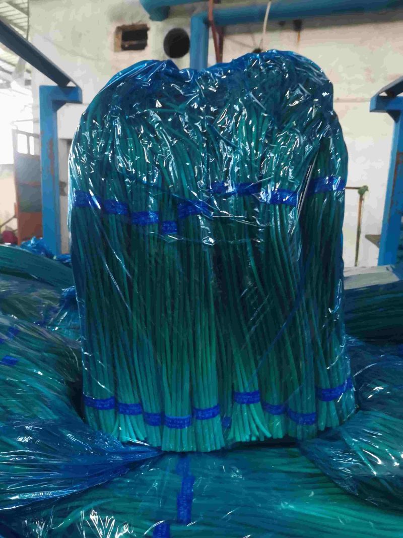 金乡红帽蒜苔