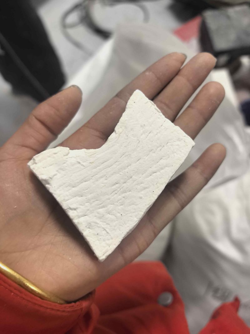 野生山药干片纯人工挖人工加工p