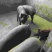 内蒙古赤峰克旗本地黑猪，个人喂养