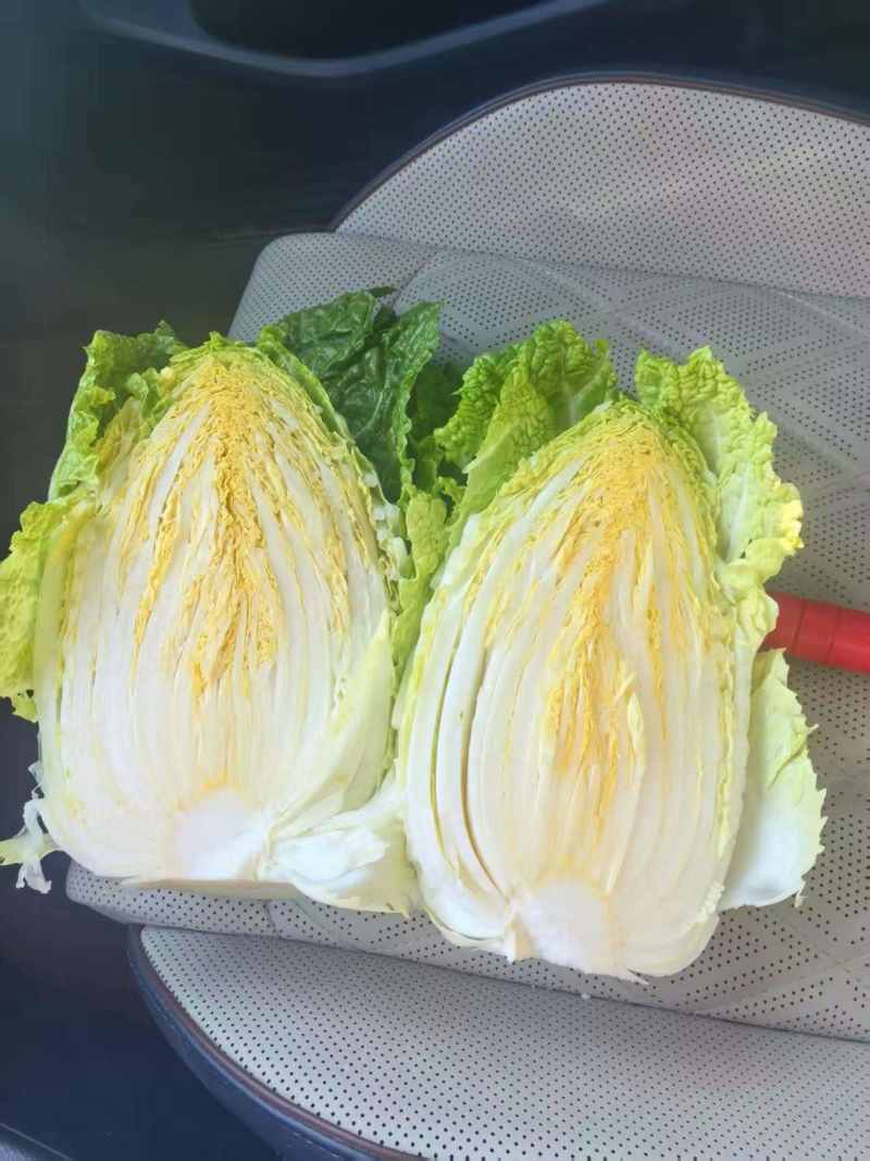 云南花心大娃。直接基地供应没有中间商