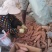 山东精品济薯26大量上市产地直供品质好现挖现卖