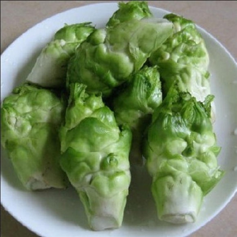 高山多头儿菜海拔1200
