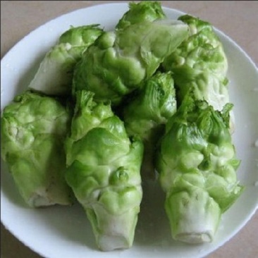 高山多头儿菜海拔1200
