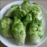 高山多头儿菜海拔1200