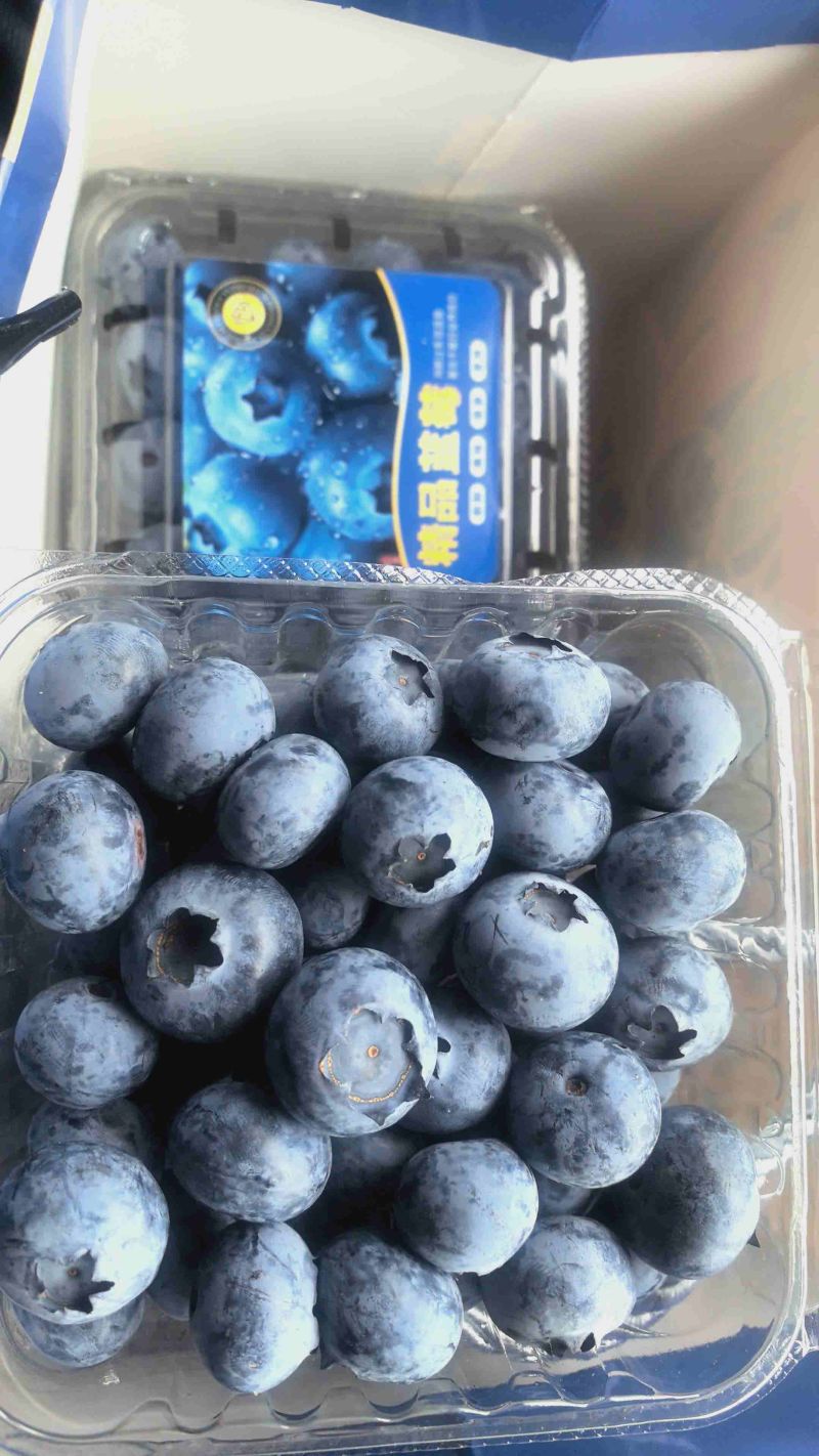 电商**:精品蓝莓。新品上市。各种规格。可定制，加工。包