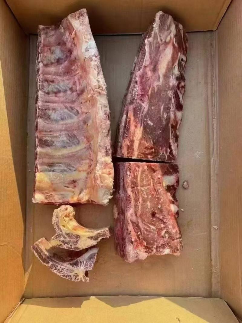 牛肩胛骨，现货现发