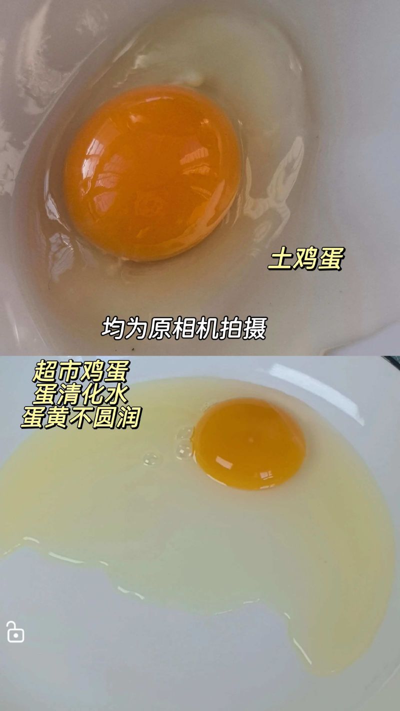 土鸡蛋批发