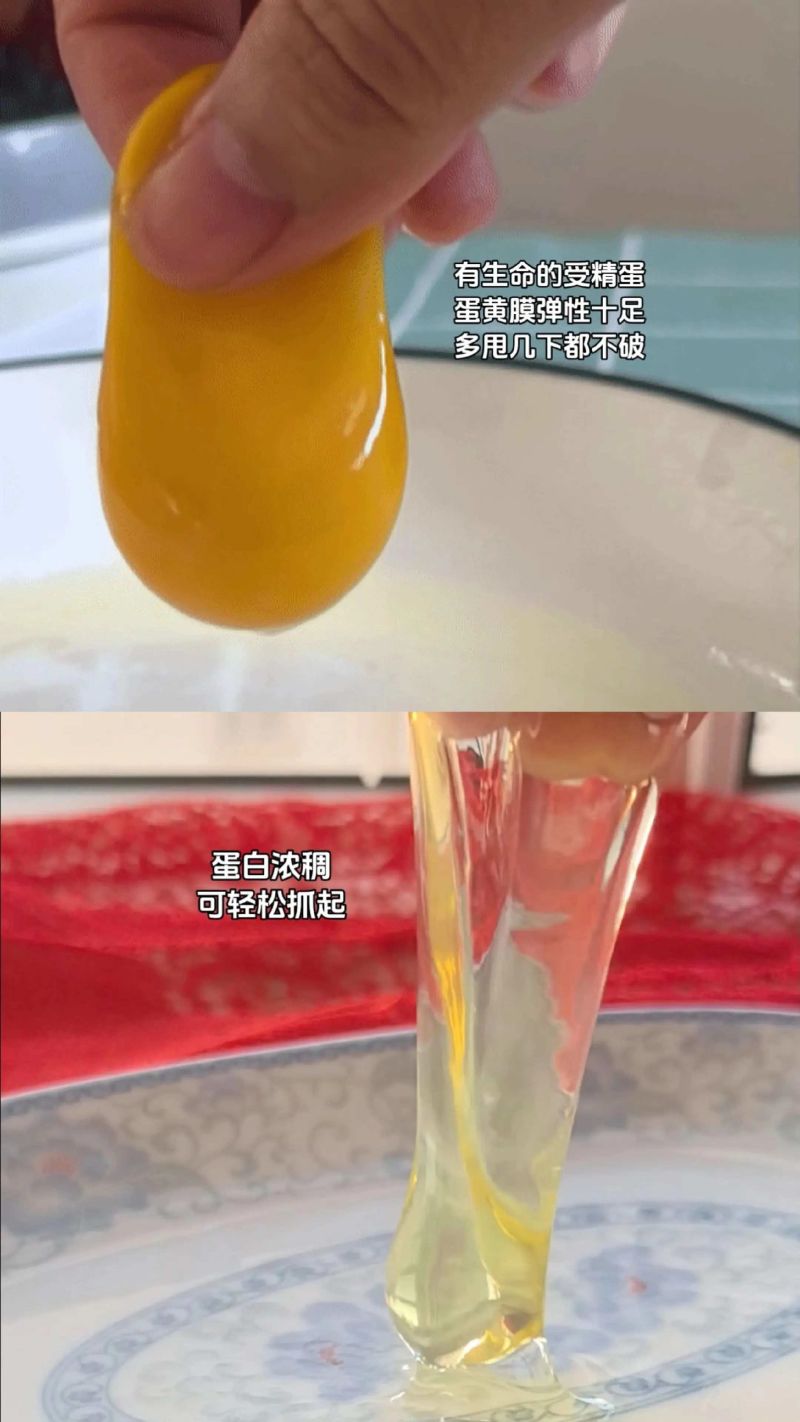土鸡蛋批发
