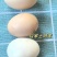 土鸡蛋批发
