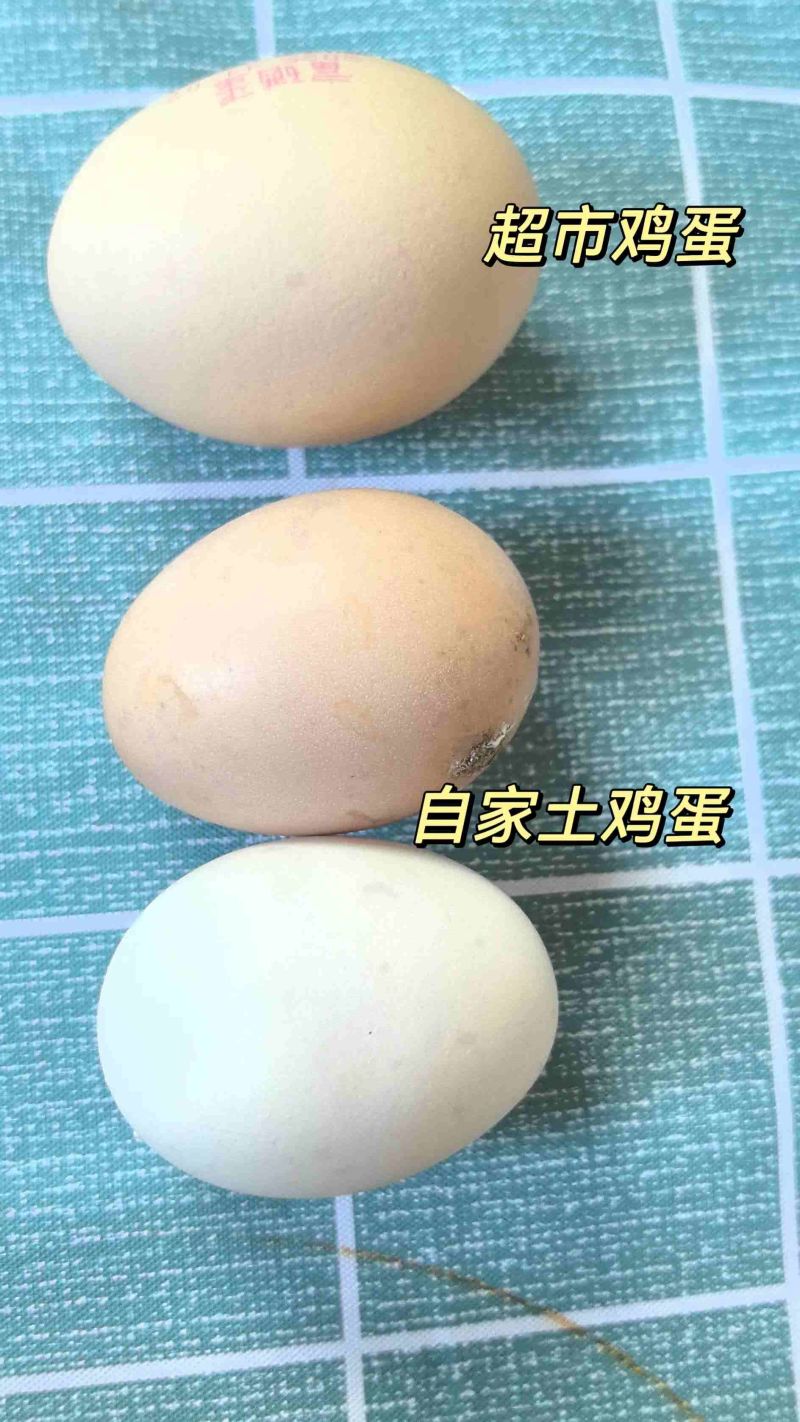 土鸡蛋批发