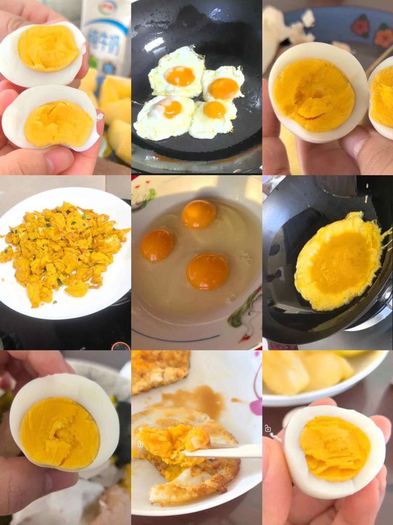 土鸡蛋批发