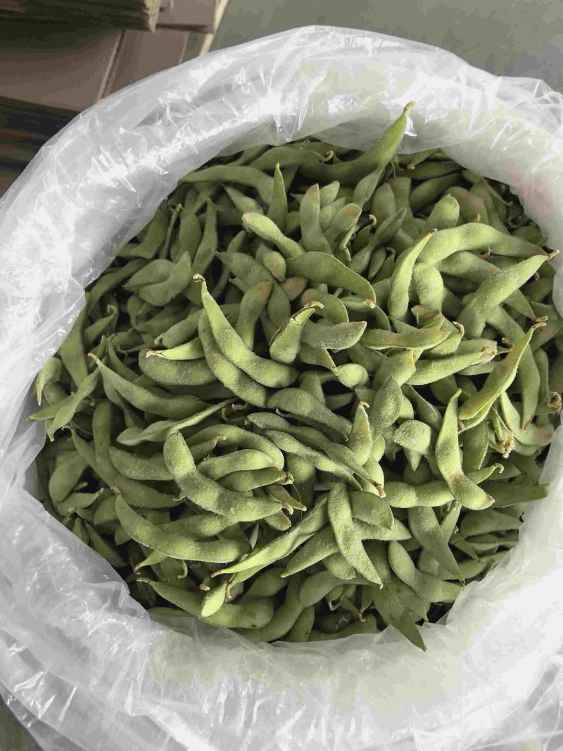 精品大荚毛豆