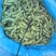 精品大荚毛豆