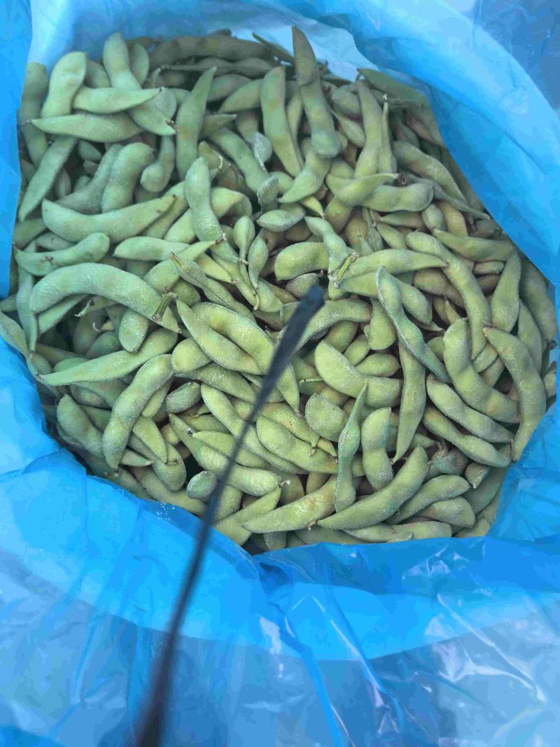 精品大荚毛豆