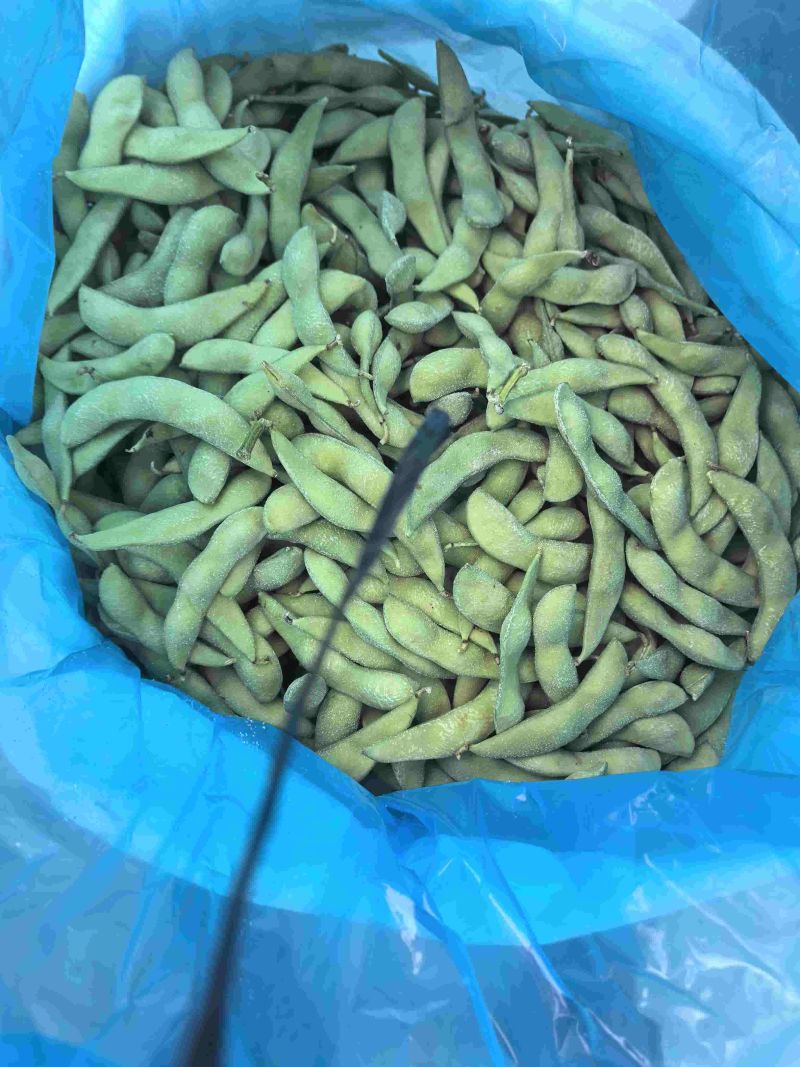 精品大荚毛豆