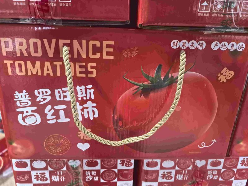 普罗旺斯西红柿产地支持商超电商社区团购一件代发