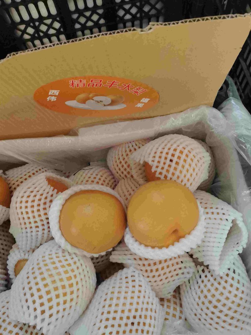 精品晚秋黄梨