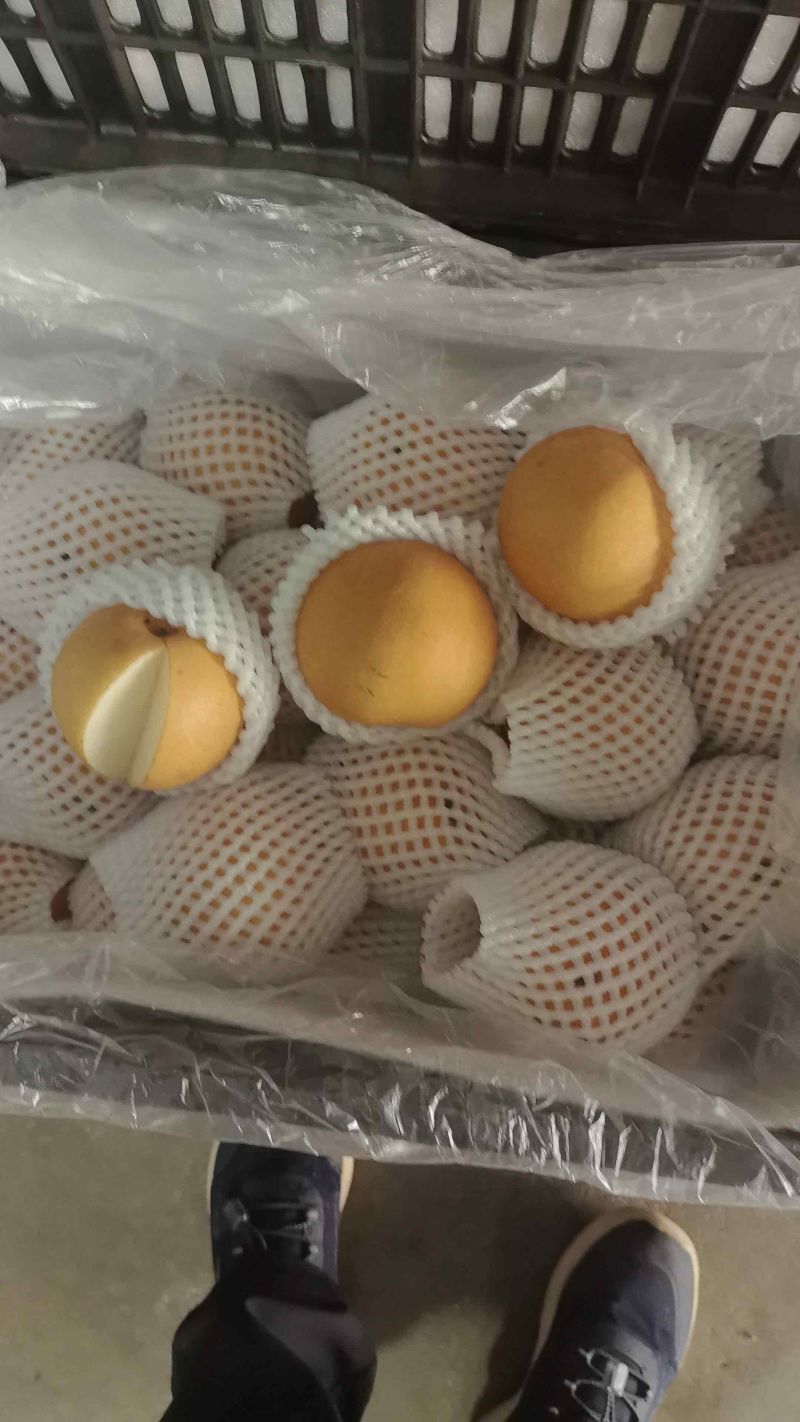 精品晚秋黄梨