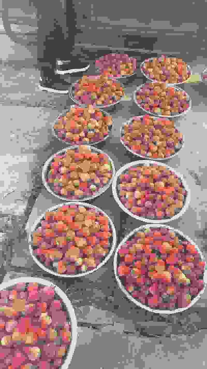 成都红颜草莓基地