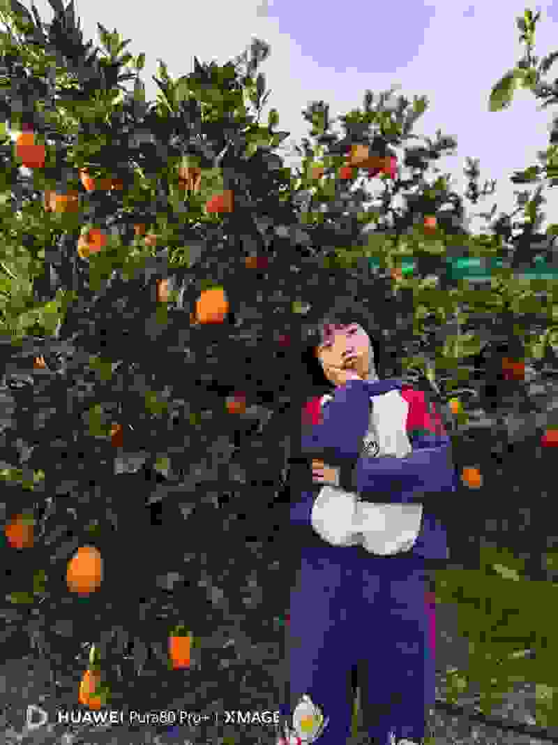 奉节脐橙（果农自有）