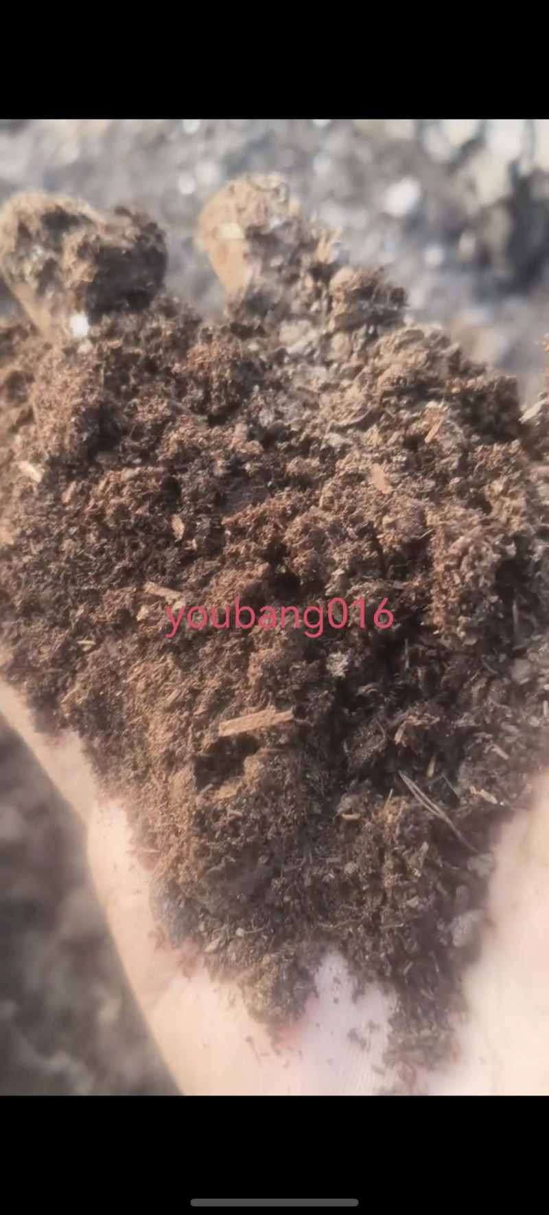 山东发酵粪肥散装