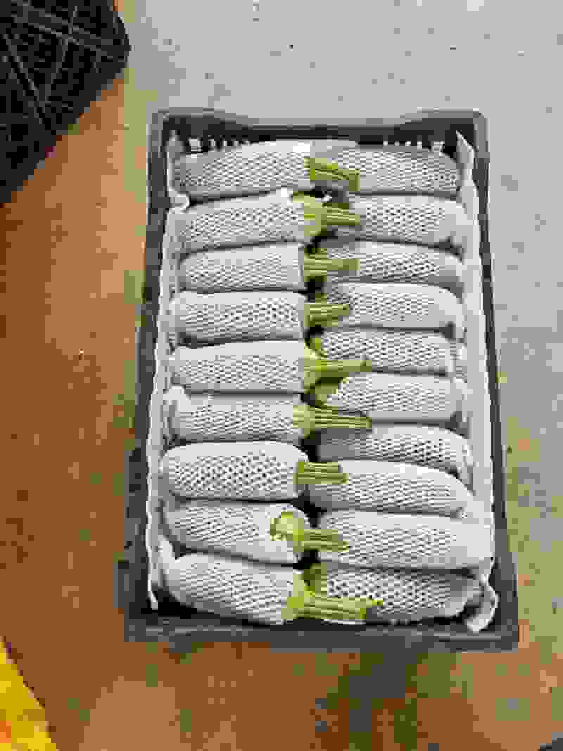 精品西葫芦