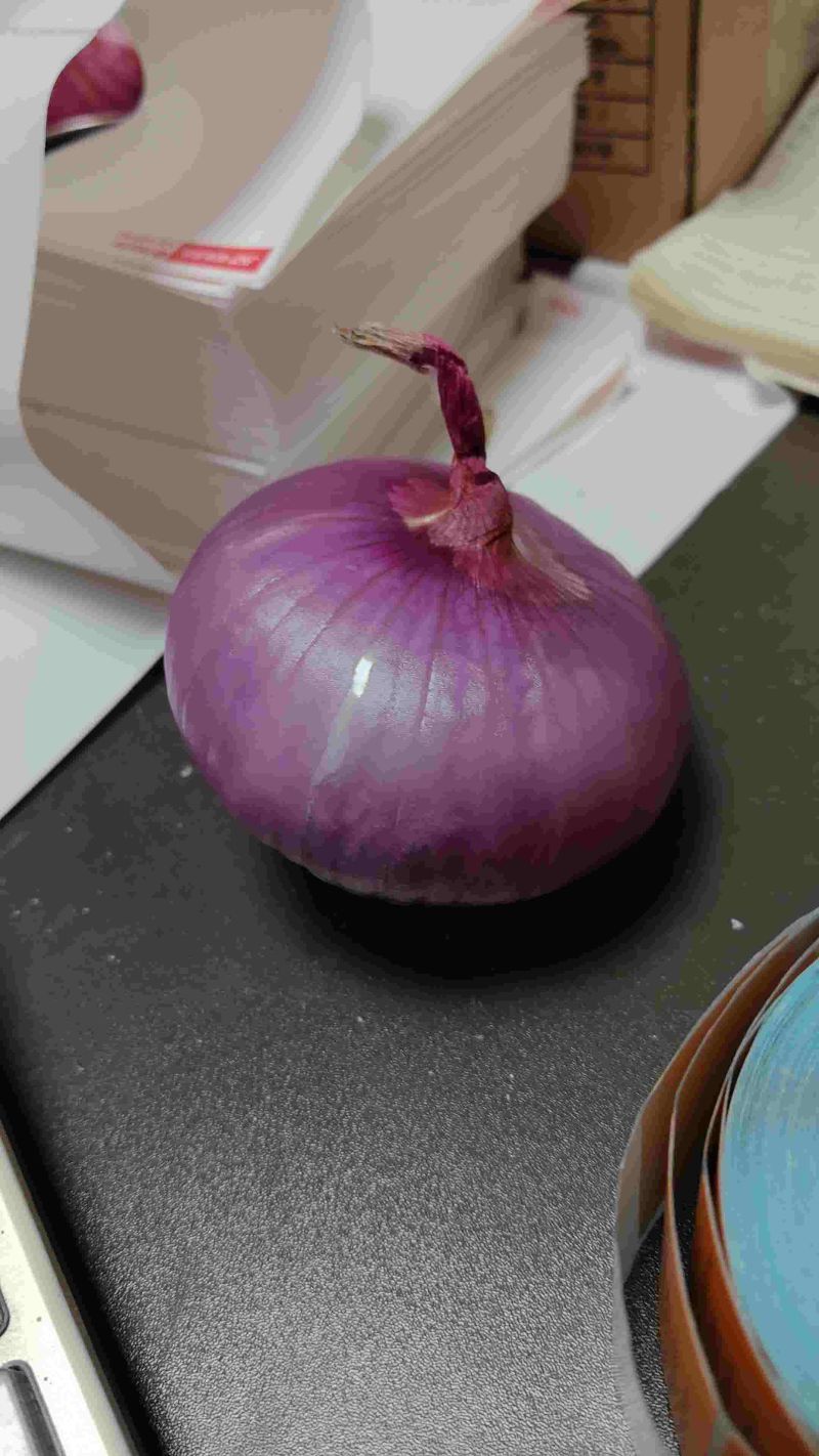 山东洋葱