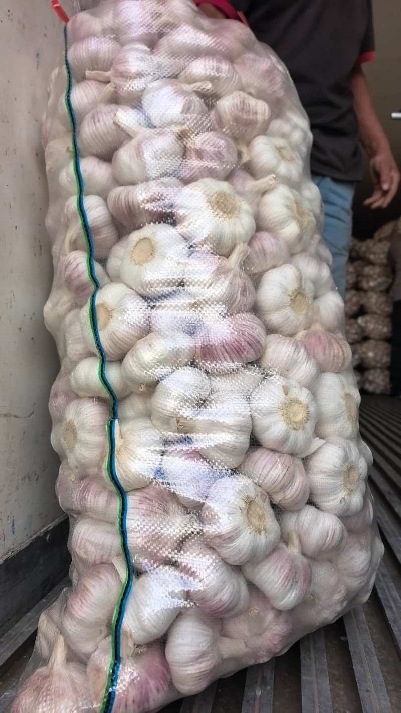 精品质量邳州大蒜