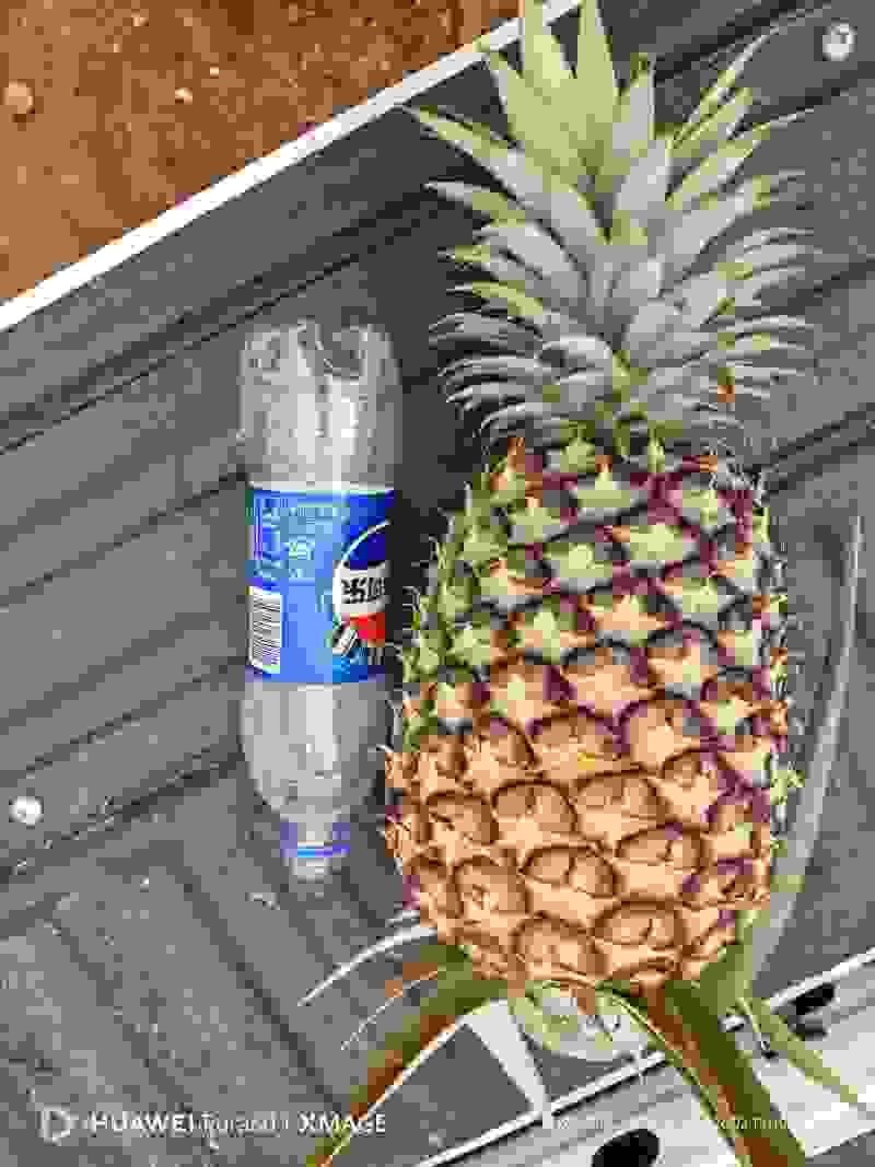 西双版纳凤梨