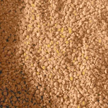 精品碎大豆厂家直销，大量供应有需要的老板可以联系我