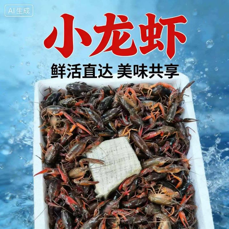 潜江小龙虾见货定价随行就市