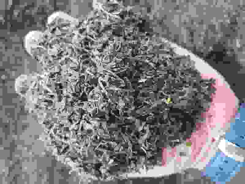茶