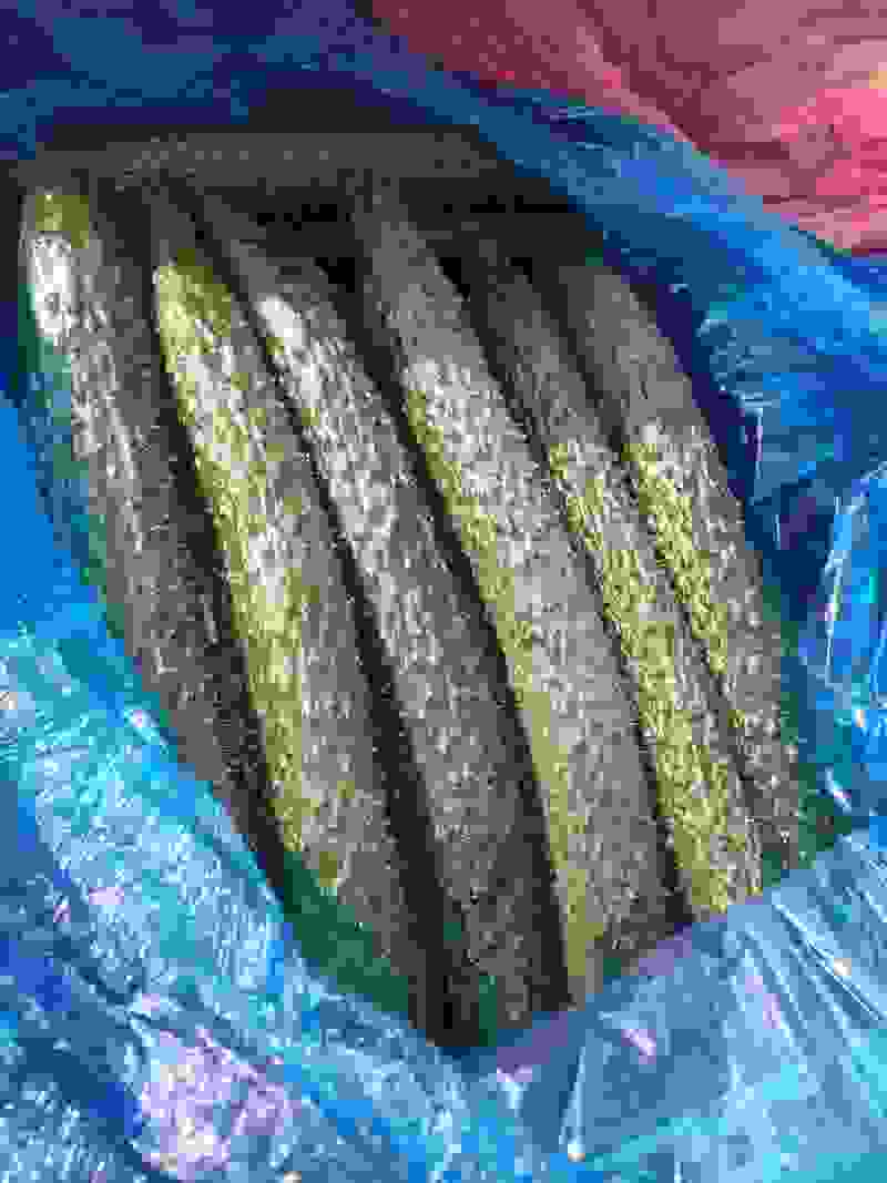 冷棚黄瓜