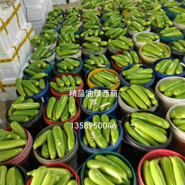 精品油绿西葫芦