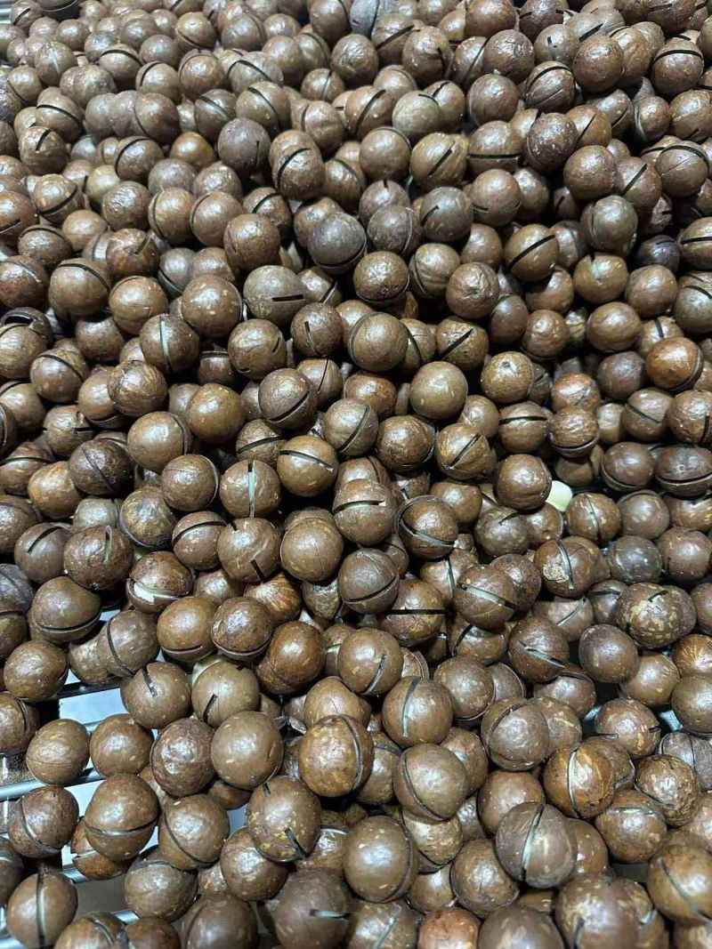 夏威夷果