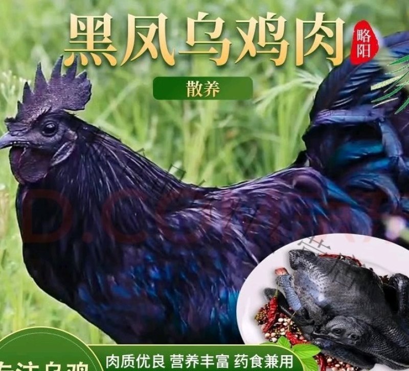 纯种散养略阳乌鸡，重量都在4斤左右，非常适合炖汤~