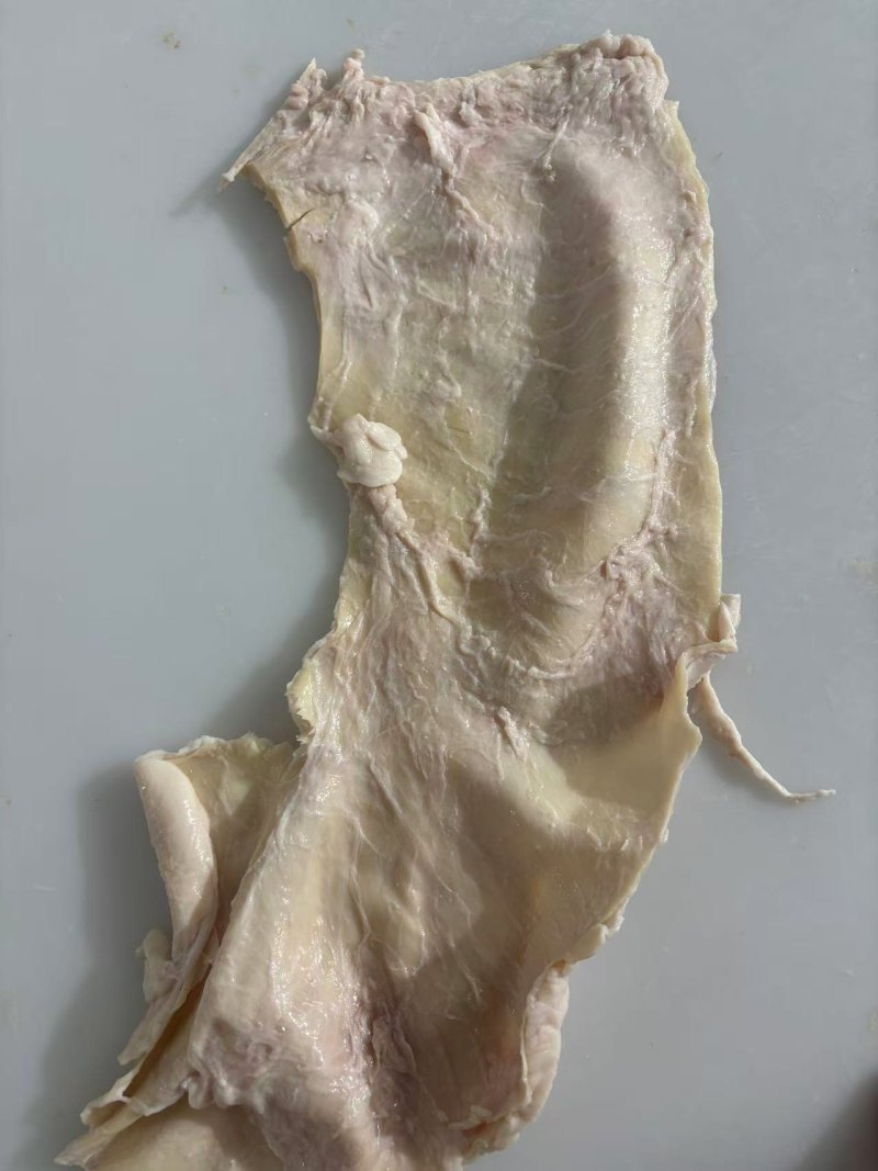 牛副产品牛筋，口感好，厂家直供，可对接全国