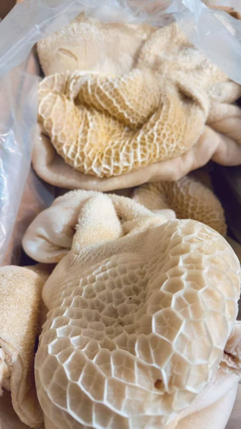 水退牛肚（五成熟）