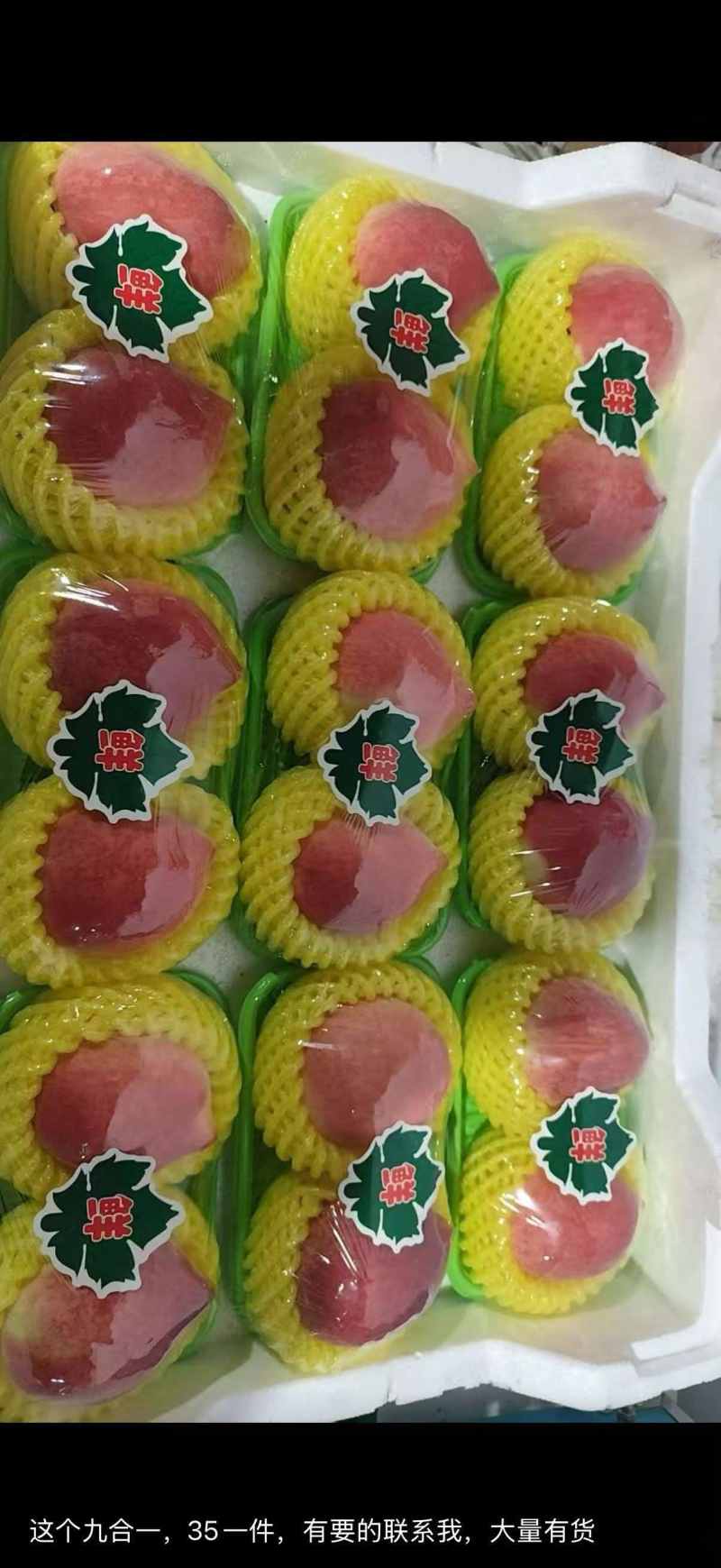 大棚春雪红梅黄毛桃大量上市