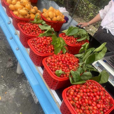 贵州本地樱桃，需要的联系***********