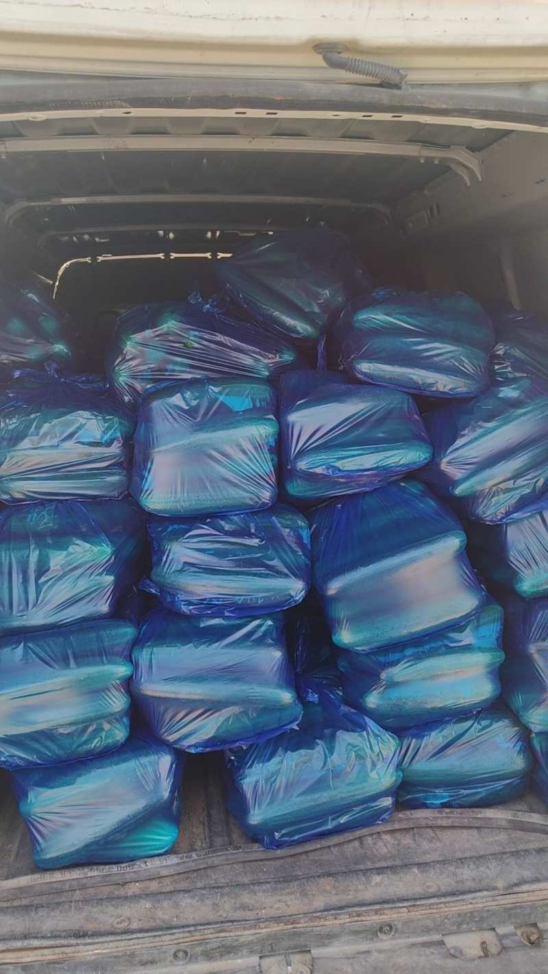 南通本地老黄瓜