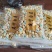 25年建宁通芯白莲大量有货